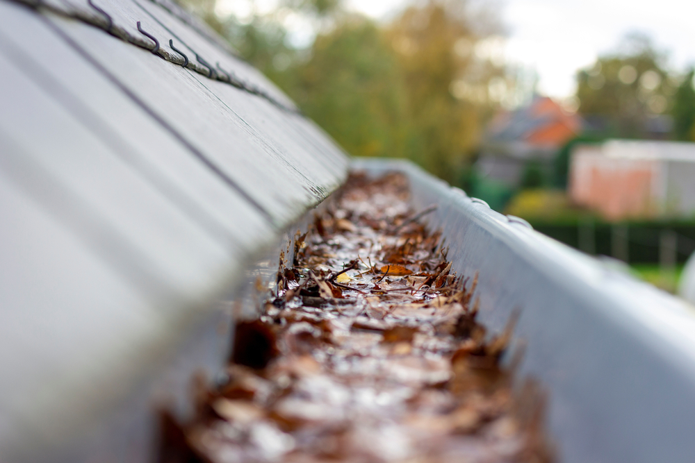 Preparing Your Home's Roof for Winter | CKG Contractors