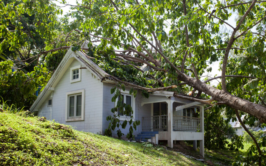 How to Protect Your Home’s Roof From Storm Damage