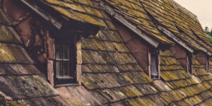 How Roof Shingles Are Made