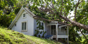 Protect Your Roof from Storm Damage