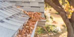 How to Safely Clean Your Gutters