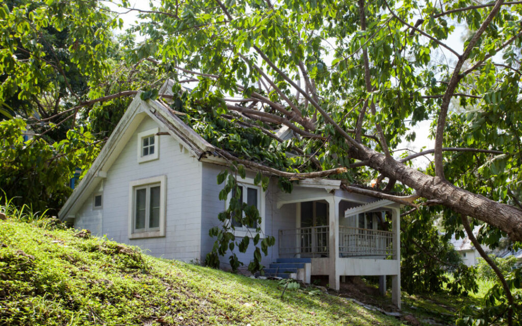 Protect Your Roof from Storm Damage