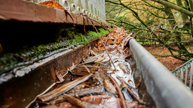 Roofing Materials Clogging Gutters